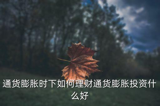 通貨膨脹時下如何理財通貨膨脹投資什么好