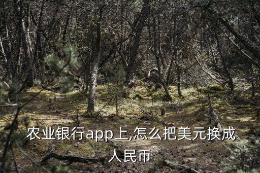  農(nóng)業(yè)銀行app上,怎么把美元換成人民幣