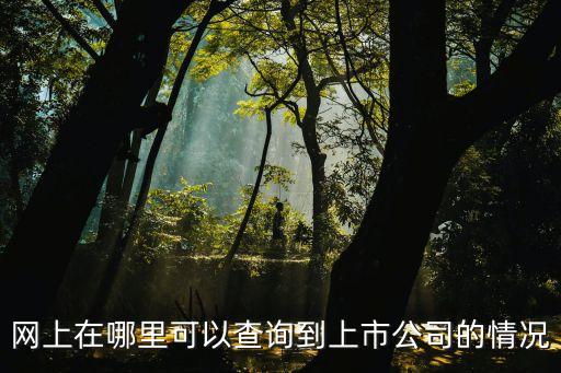 網(wǎng)上在哪里可以查詢到上市公司的情況