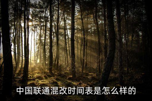 中國聯(lián)通混改時間表是怎么樣的