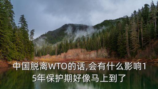 中國脫離WTO的話,會有什么影響15年保護(hù)期好像馬上到了