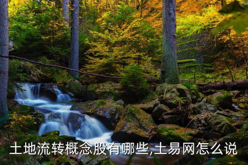 土地流轉(zhuǎn)概念股有哪些,土易網(wǎng)怎么說