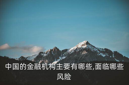 中國(guó)的金融機(jī)構(gòu)主要有哪些,面臨哪些風(fēng)險(xiǎn)