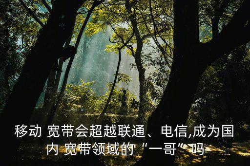 移動(dòng) 寬帶會(huì)超越聯(lián)通、電信,成為國內(nèi) 寬帶領(lǐng)域的“一哥”嗎