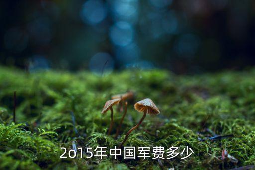 2o15年中國(guó)軍費(fèi)多少