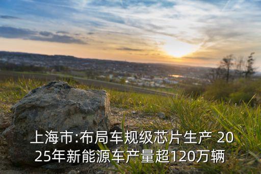  上海市:布局車規(guī)級芯片生產(chǎn) 2025年新能源車產(chǎn)量超120萬輛