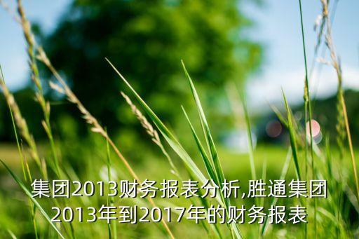 八一集團2013財務(wù)報表分析,勝通集團2013年到2017年的財務(wù)報表