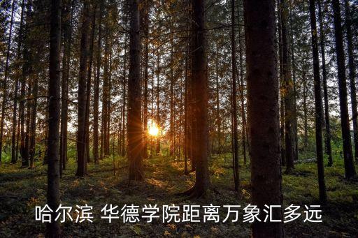 聊城利民華德藥品有限公司,山東聊城利民藥業(yè)集團(tuán)有限公司