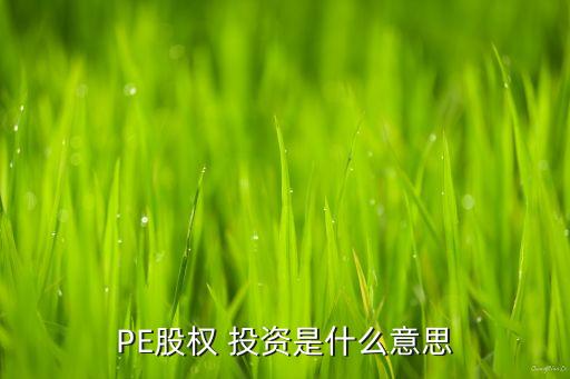 PE股權(quán) 投資是什么意思