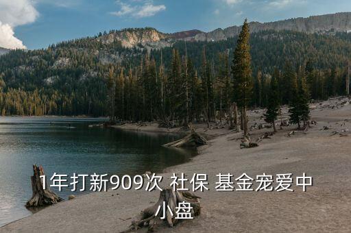 社?；?08組合,全國社?；?08組合的管理人