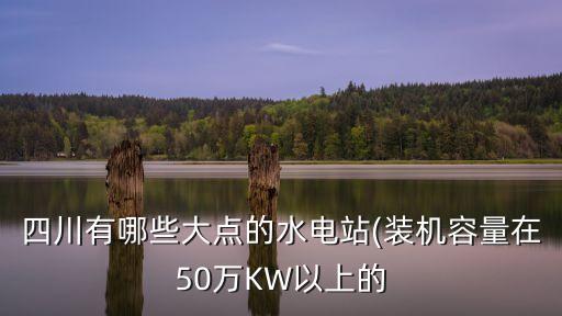 四川有哪些大點的水電站(裝機容量在50萬KW以上的