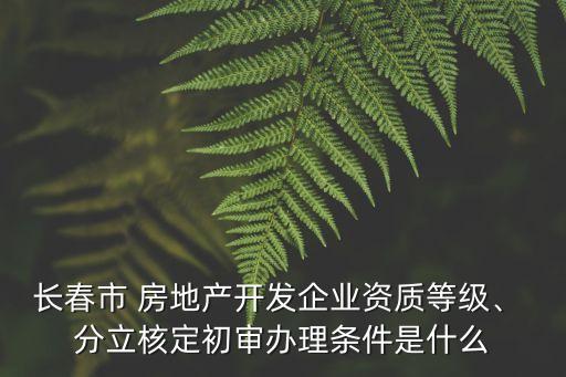 房地產(chǎn)公司投資達(dá)到多少可以分立,投資一家房地產(chǎn)公司需要多少錢(qián)