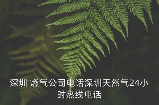 深圳 燃?xì)夤倦娫捝钲谔烊粴?4小時熱線電話