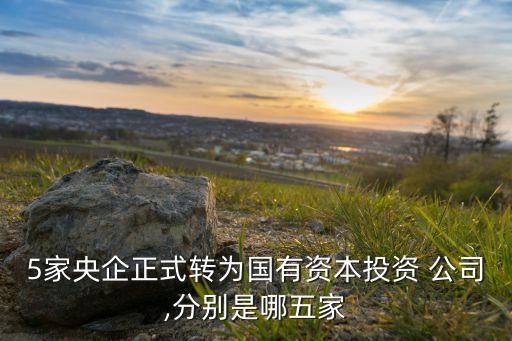 中國國家開發(fā)公司,中國房地產(chǎn)開發(fā)公司