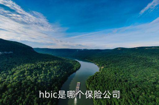 hbic是哪個保險公司