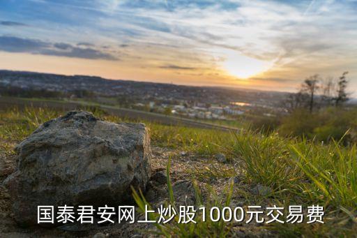  國(guó)泰君安網(wǎng)上炒股1000元交易費(fèi)