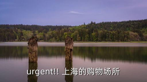 urgent!! 上海的購物場所