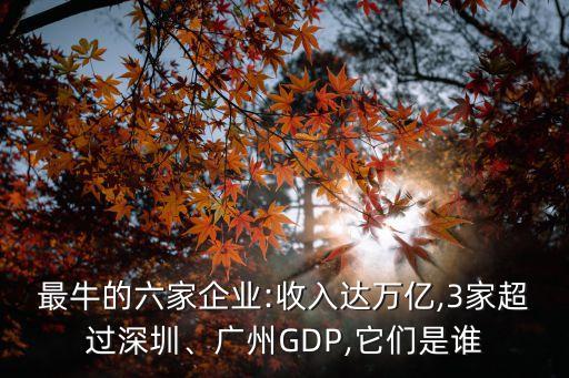 最牛的六家企業(yè):收入達(dá)萬(wàn)億,3家超過(guò)深圳、廣州GDP,它們是誰(shuí)