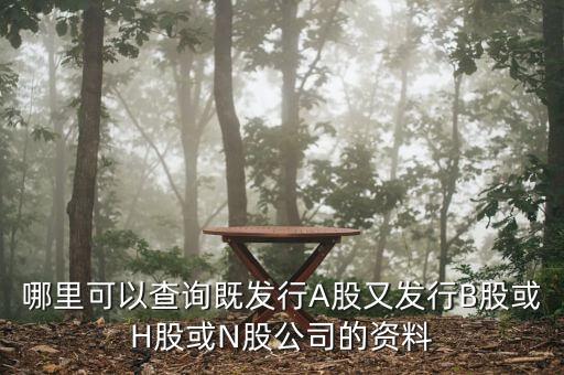 哪里可以查詢既發(fā)行A股又發(fā)行B股或H股或N股公司的資料