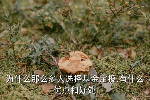 為什么那么多人選擇基金定投,有什么優(yōu)點(diǎn)和好處