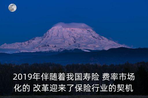 2019年伴隨著我國壽險(xiǎn) 費(fèi)率市場化的 改革迎來了保險(xiǎn)行業(yè)的契機(jī)