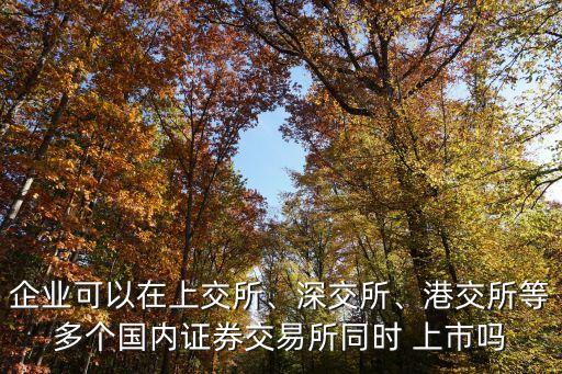 企業(yè)可以在上交所、深交所、港交所等多個國內證券交易所同時 上市嗎