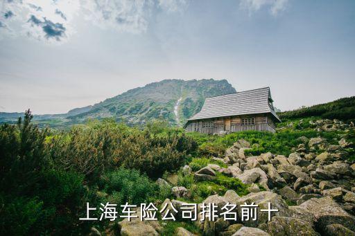 上海新華泰康,新華和泰康哪個公司好