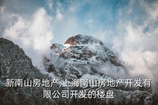 上海新南山房地產(chǎn),上海南山房地產(chǎn)開發(fā)有限公司開發(fā)的樓盤