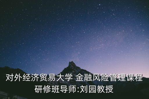 對外經(jīng)濟(jì)貿(mào)易大學(xué) 金融風(fēng)險(xiǎn)管理課程研修班導(dǎo)師:劉園教授