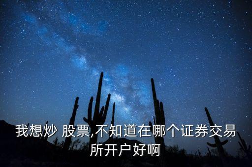 我想炒 股票,不知道在哪個(gè)證券交易所開戶好啊