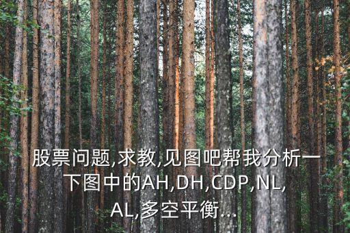  股票問題,求教,見圖吧幫我分析一下圖中的AH,DH,CDP,NL,AL,多空平衡...