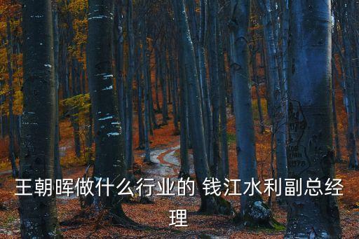 王朝暉做什么行業(yè)的 錢江水利副總經(jīng)理