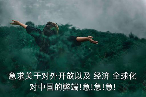 中國參與經(jīng)濟(jì)全球化的反思,反思經(jīng)濟(jì)全球化社會透視討論