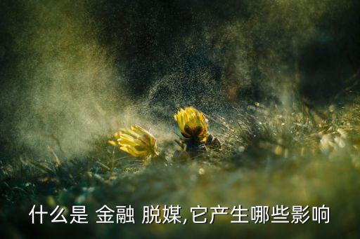 什么是 金融 脫媒,它產(chǎn)生哪些影響