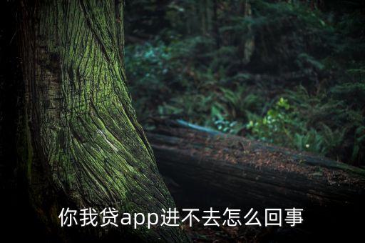 你我貸app進不去怎么回事