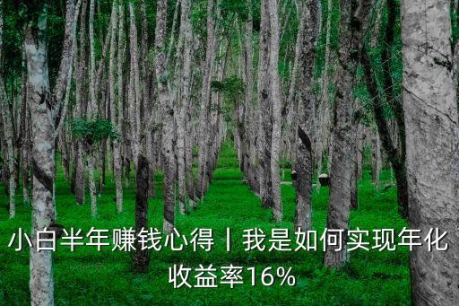 小白半年賺錢心得丨我是如何實(shí)現(xiàn)年化 收益率16%