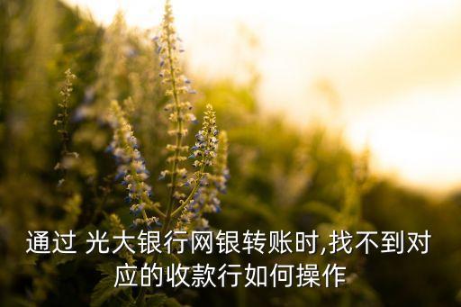 通過 光大銀行網(wǎng)銀轉(zhuǎn)賬時,找不到對應(yīng)的收款行如何操作