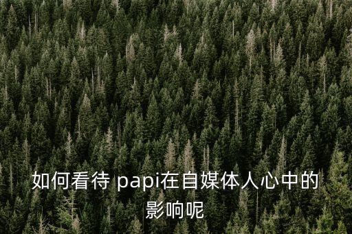 如何看待 papi在自媒體人心中的影響呢