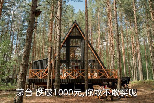 茅臺(tái) 跌破1000元,你敢不敢買呢