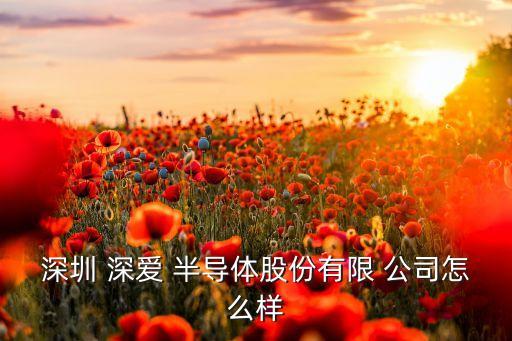 深圳 深愛(ài) 半導(dǎo)體股份有限 公司怎么樣