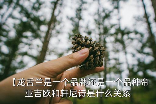 【龍舌蘭是一個(gè)品牌還是一個(gè)品種帝 亞吉?dú)W和軒尼詩是什么關(guān)系