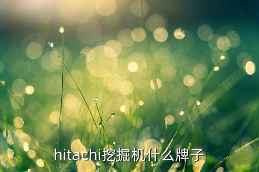 hitachi挖掘機什么牌子