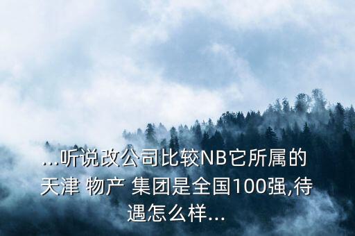 ...聽說改公司比較NB它所屬的 天津 物產(chǎn) 集團是全國100強,待遇怎么樣...