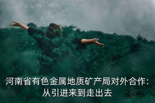 河南省有色金屬地質(zhì)礦產(chǎn)局對外合作:從引進來到走出去