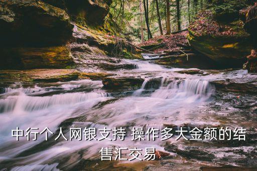 中行個(gè)人網(wǎng)銀支持 操作多大金額的結(jié)售匯交易