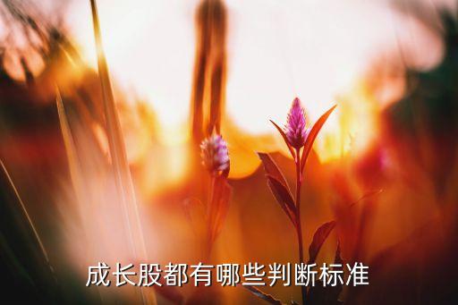 成長(zhǎng)股都有哪些判斷標(biāo)準(zhǔn)