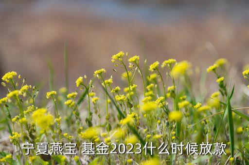 寧夏燕寶 基金2023什么時(shí)候放款