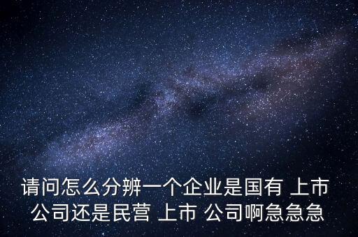 請(qǐng)問怎么分辨一個(gè)企業(yè)是國有 上市 公司還是民營 上市 公司啊急急急