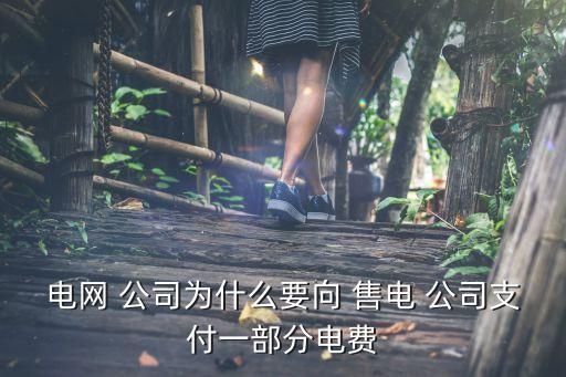 電網(wǎng) 公司為什么要向 售電 公司支付一部分電費(fèi)