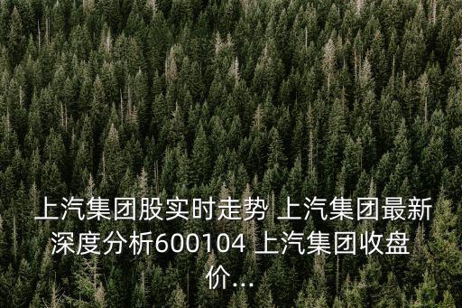  上汽集團(tuán)股實(shí)時走勢 上汽集團(tuán)最新深度分析600104 上汽集團(tuán)收盤價...